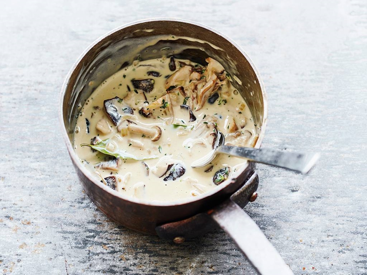 recipe image Waldpilzsauce