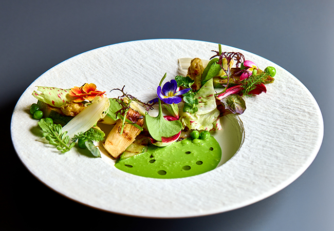 MIXED SUMMER VEGETABLE MINESTRONE AND SORREL VELOUTÉ