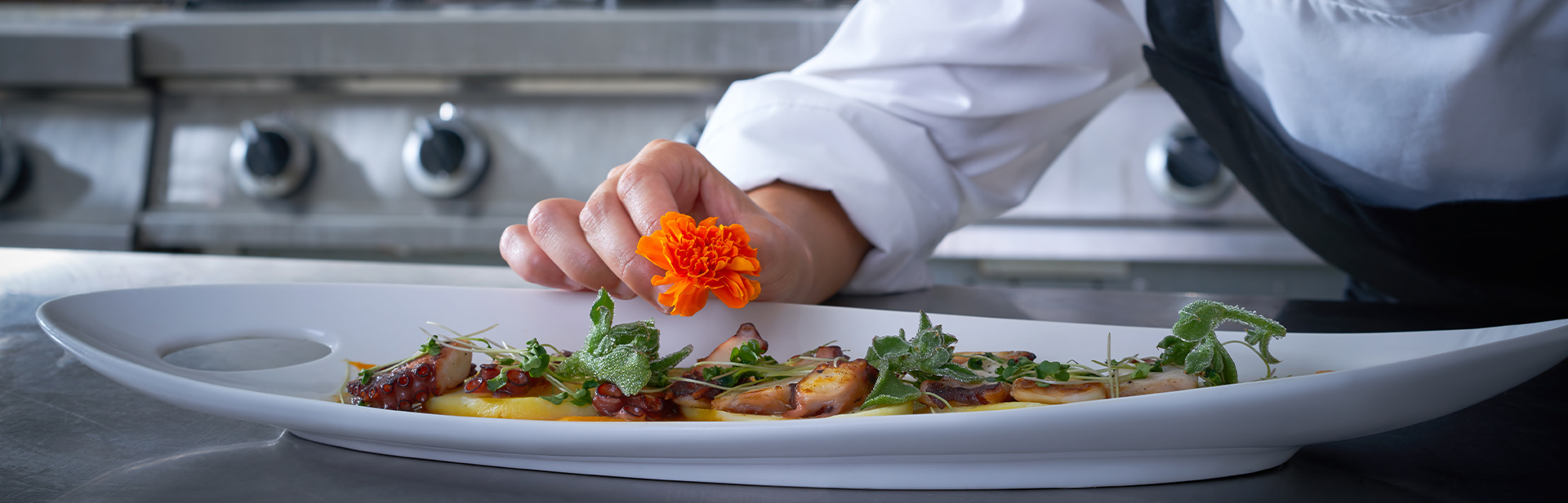 Chef decorando un delicioso plato plant-based apto para veganos y flexitarianos