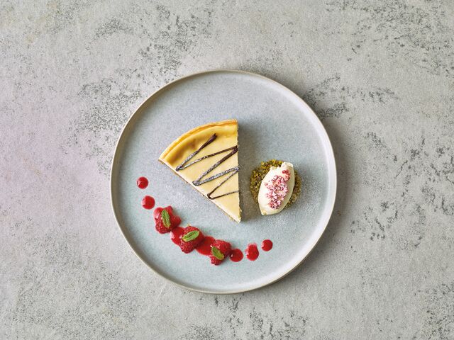 Rama Alternativa al Queso Crema 1.5kg​